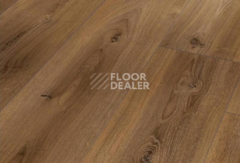 Ламинат Parador Basic Plus 600 XS 1593830 Дуб Монтана Выбеленный фото 1 | FLOORDEALER